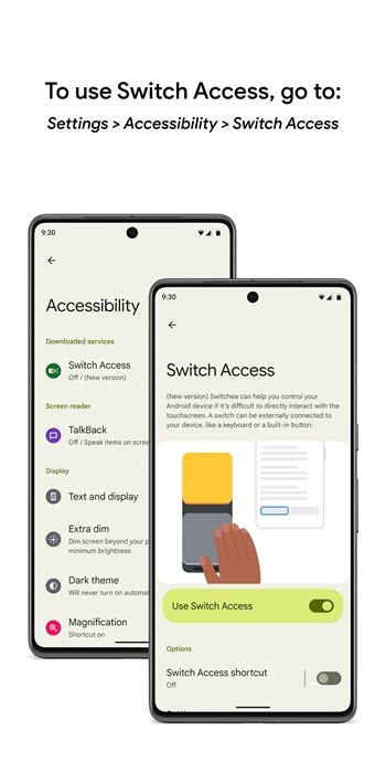 Switch Access Pro 4