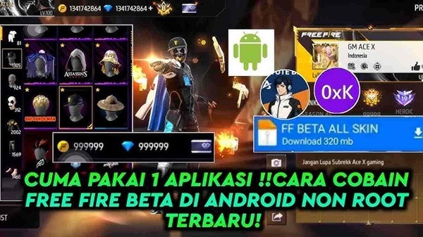 Citer FF 3