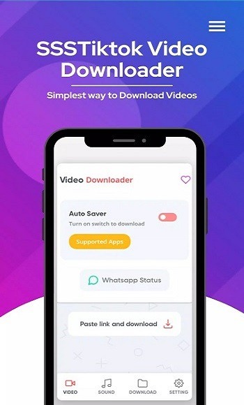SSS TikTok 1