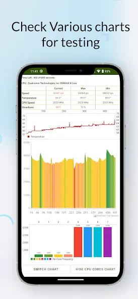 CPU Throttling Test 1