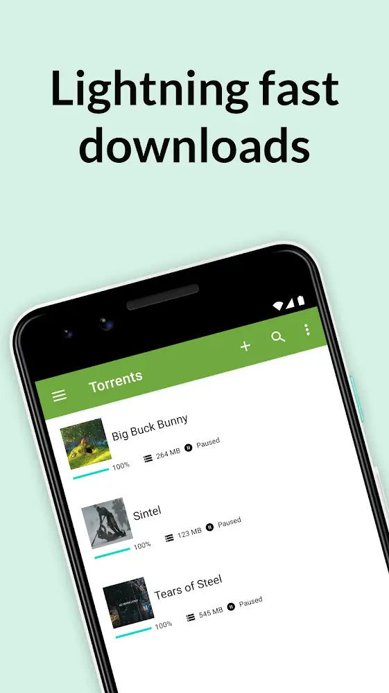 Torrent Pro 1