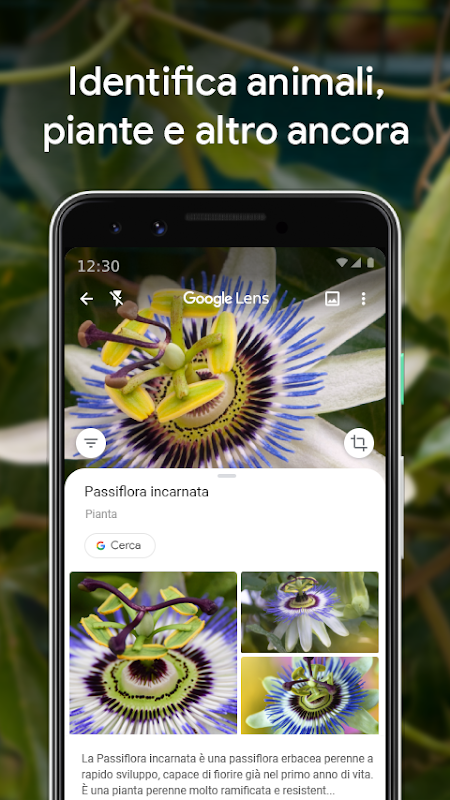 Google Lens 3