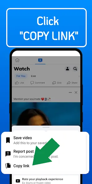 FB Video Downloader 1