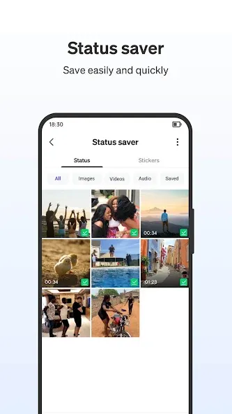 Phoenix Browser 4
