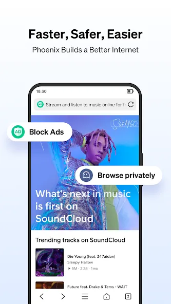 Phoenix Browser 1