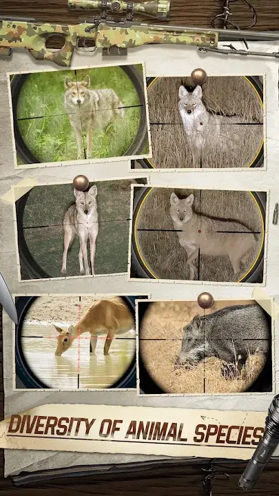 Hunting Sniper 3