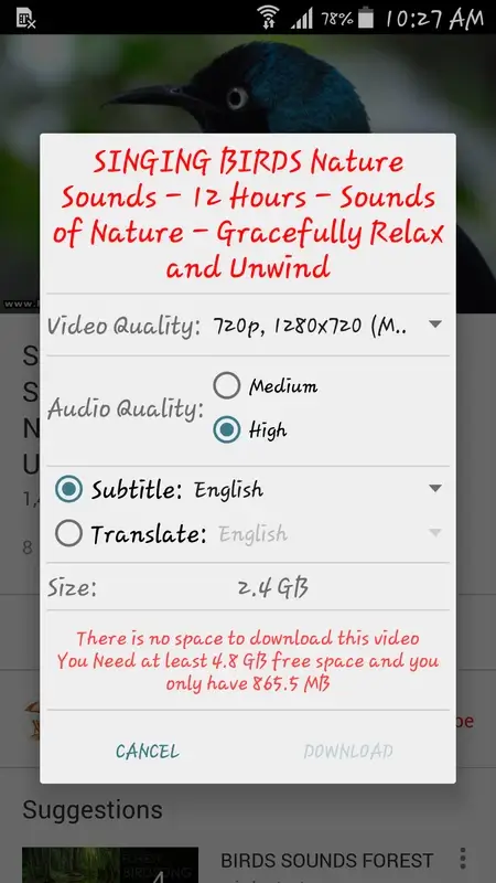 OGYouTube 6