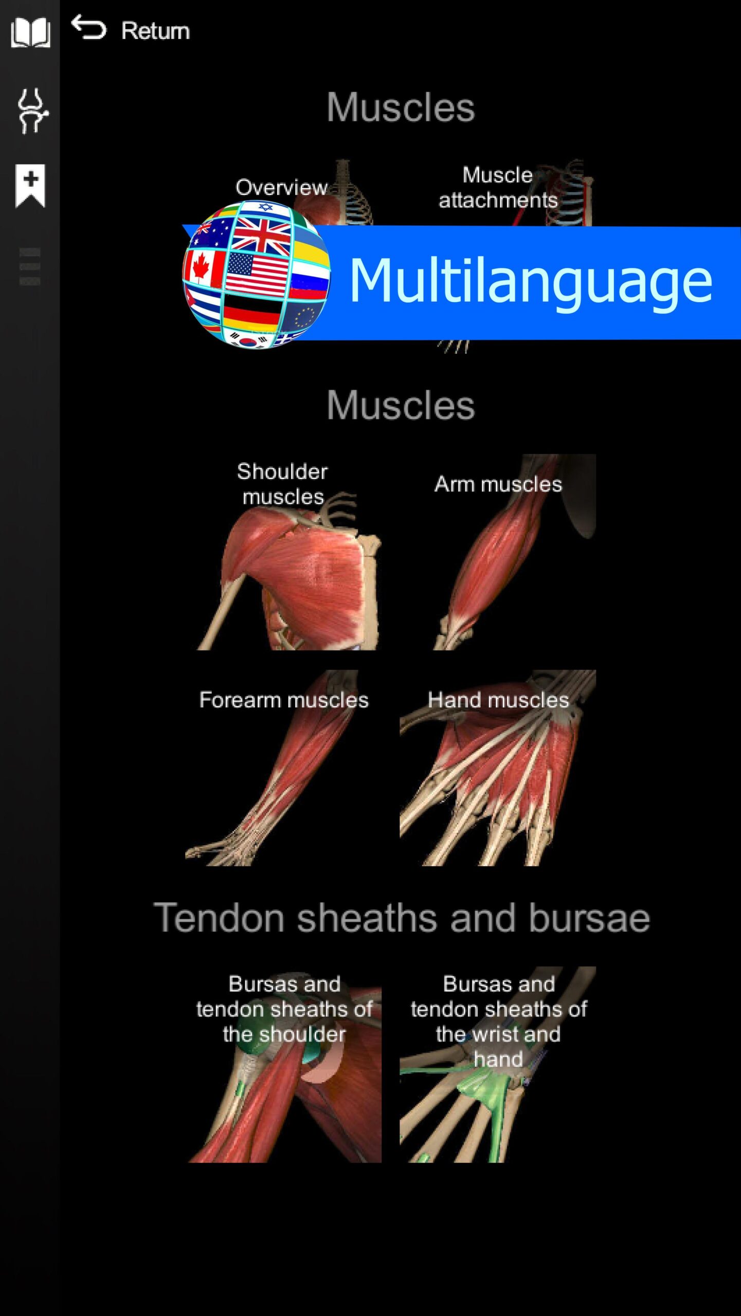 Anatomy Learning Anatomy Learning