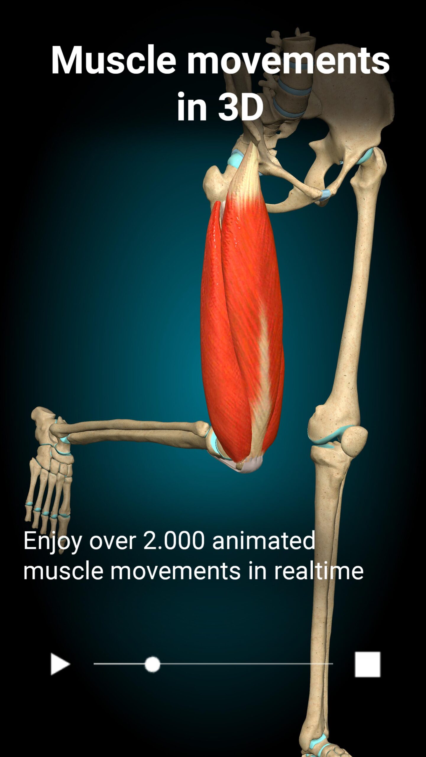 Anatomy Learning 2