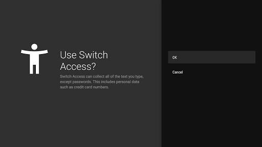 Android Accessibility Suite 9