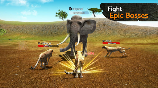 The Cheetah 4