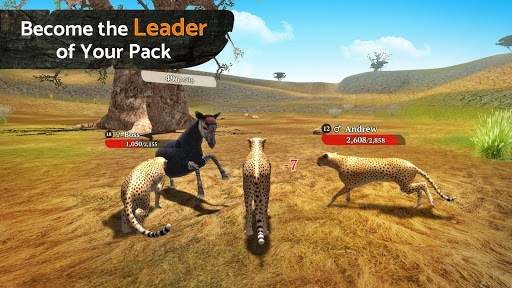 The Cheetah 5