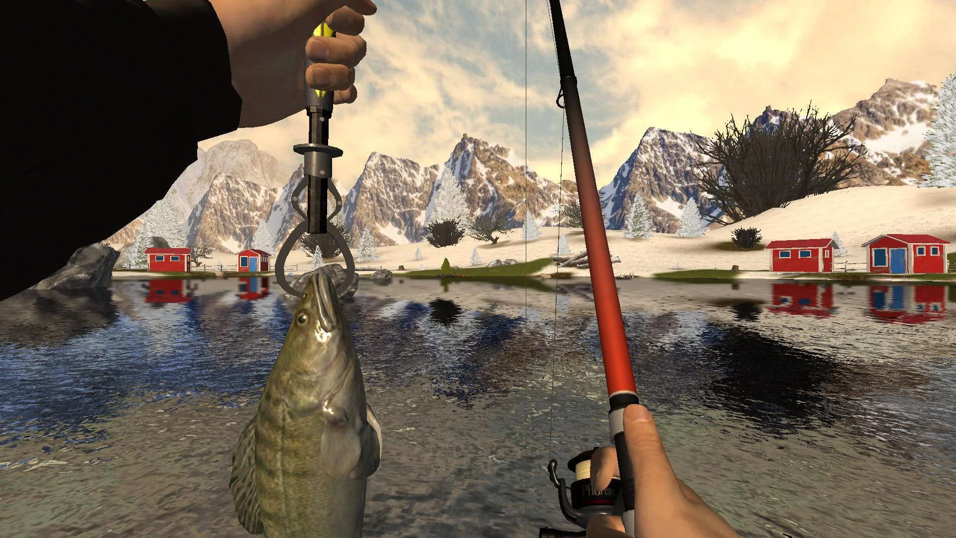 Professional Fishing 2