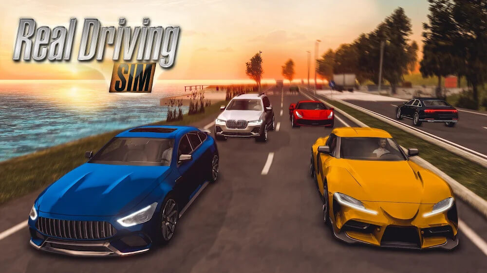 Real Driving Sim 1
