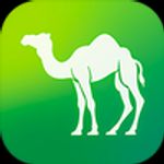 Camel Live