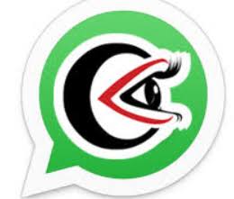 Cyber Whatsapp