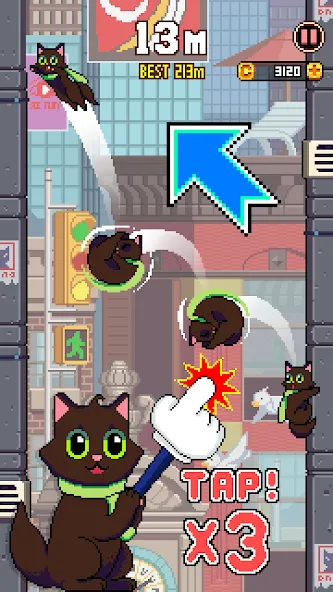 Cat Jump Cat Jump