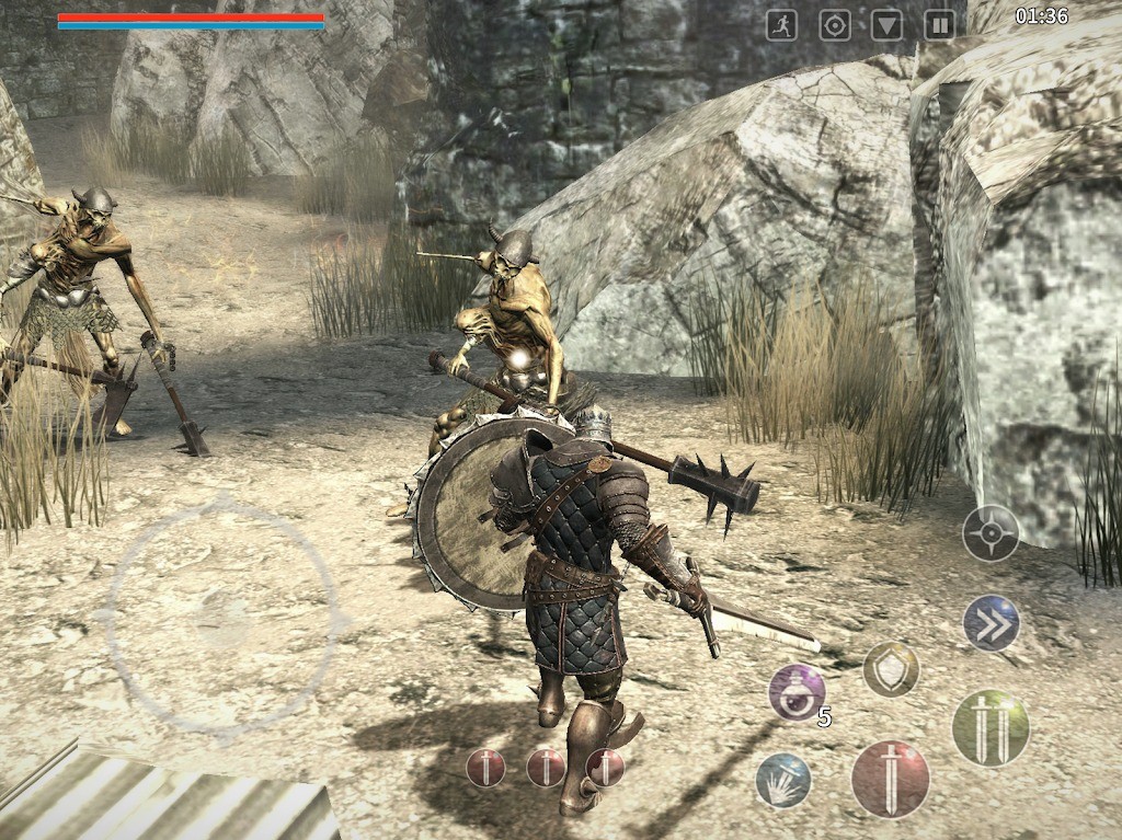 Animus 5