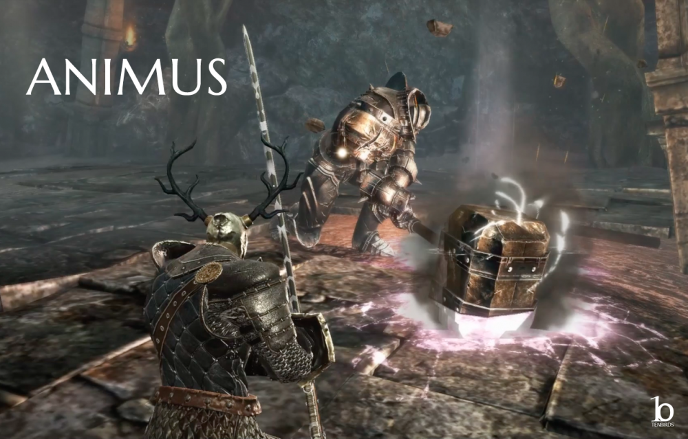 Animus 1