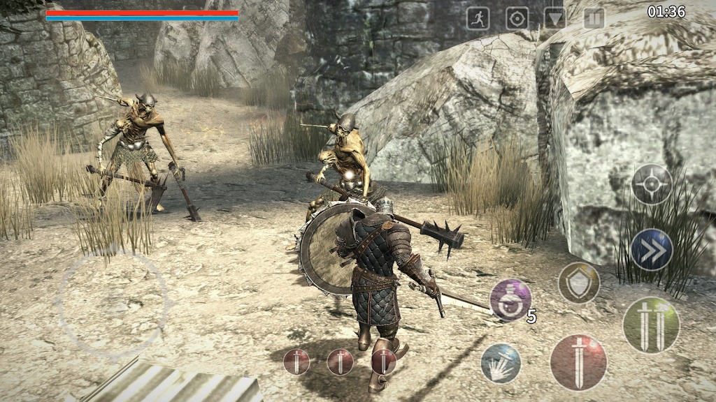 Animus 4