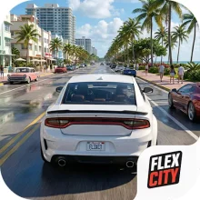 Flex City Vice Online