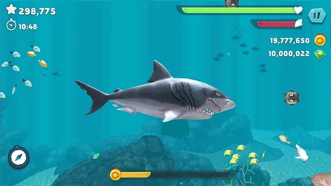 Hungry Shark Evolution Hungry Shark Evolution
