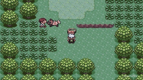 Pokemon Emerald Pokemon Emerald