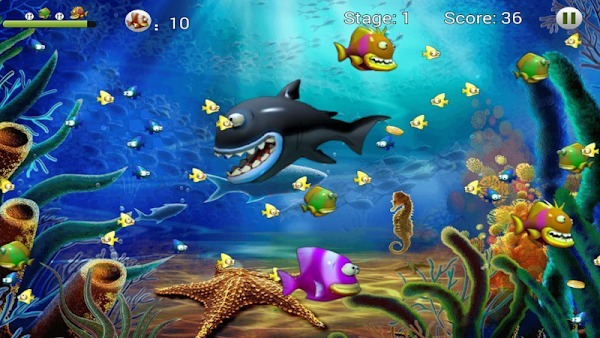 Feeding Frenzy Feeding Frenzy