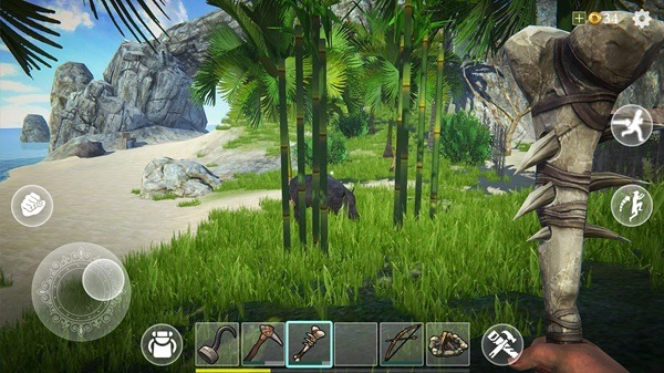 Last Pirate: Island Survival Last Pirate: Island Survival