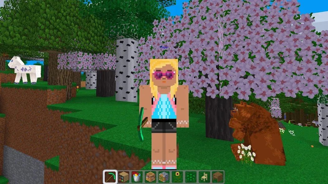 MultiCraft MultiCraft