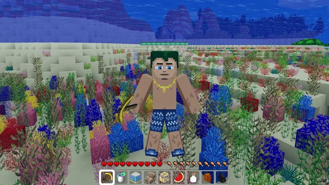 MultiCraft 2