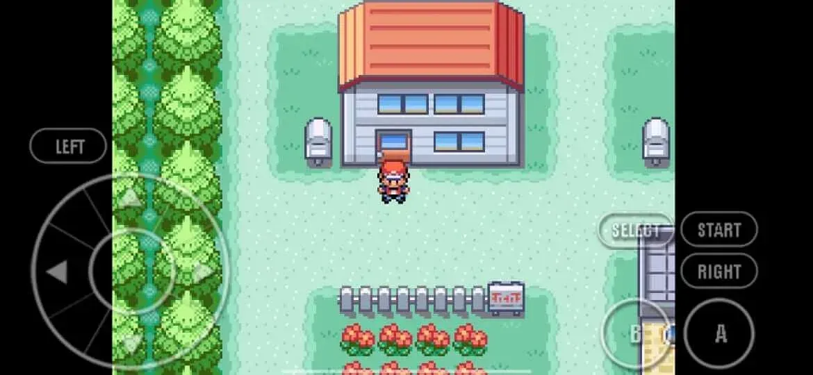 Pokemon Fire Red 1