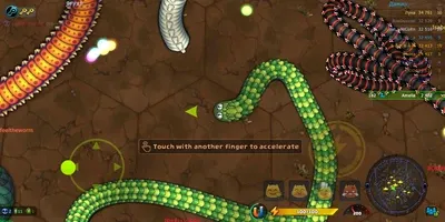 Little Big Snake Little Big Snake