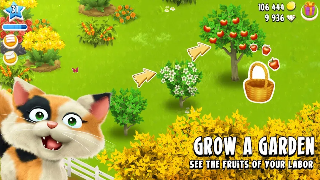 Hay Day Hay Day
