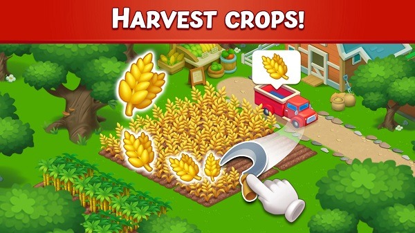 Farm City Farm City