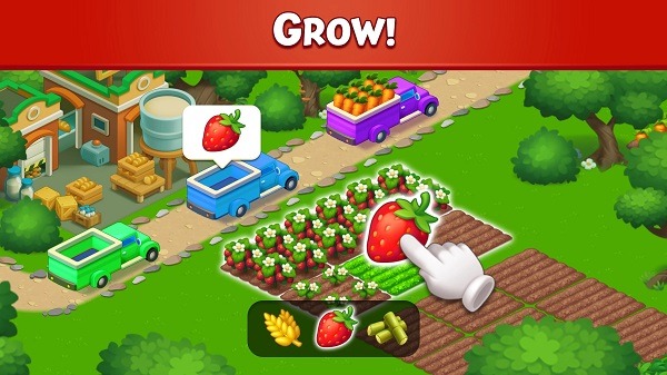 Farm City Farm City