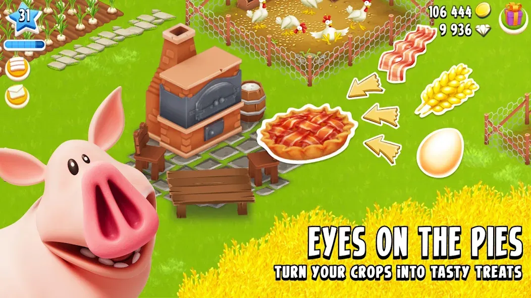 Hay Day 3