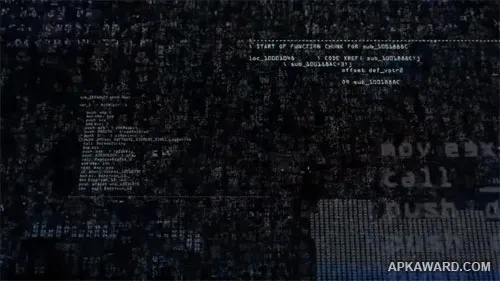 The Hacker The Hacker