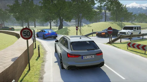 Driving School Simulator 1