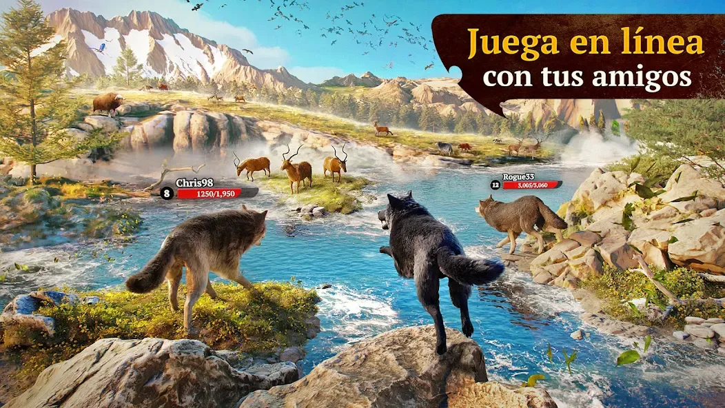 The Wolf 3