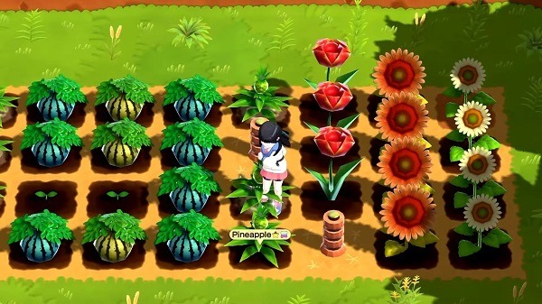 Harvest Moon: Home Sweet Home 4