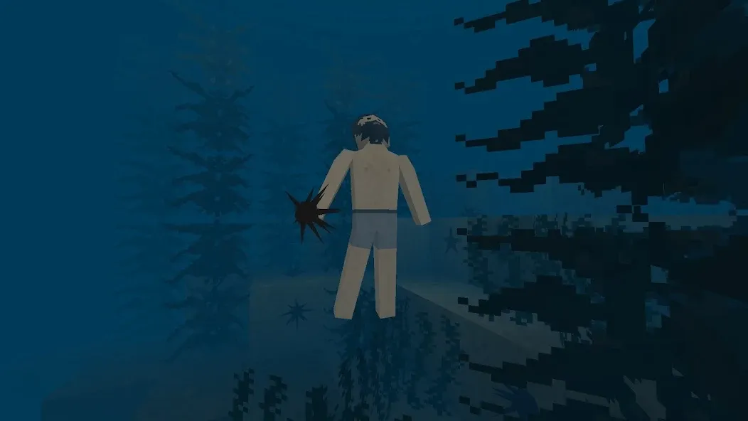 Survivalcraft 2 5