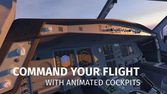 Infinite Flight Simulator 3