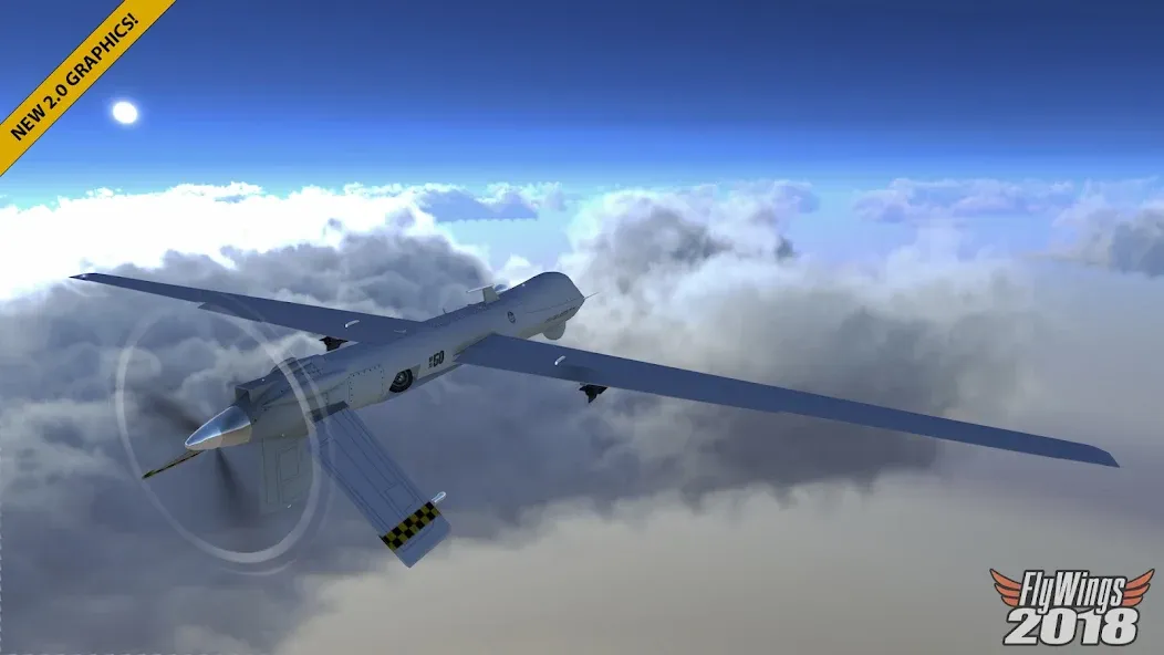 Flight Sim 2018 1