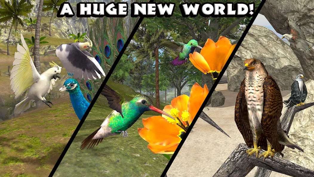 Ultimate Bird Simulator 5