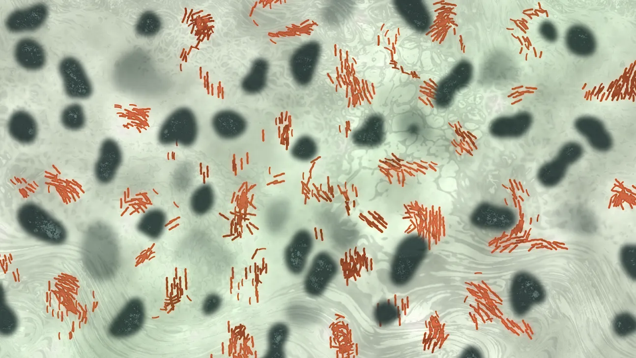 Plague Inc. Plague Inc.