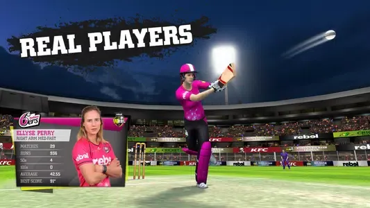 Big Bash Cricket 3