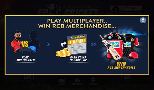 RCB Epic Cricket 2