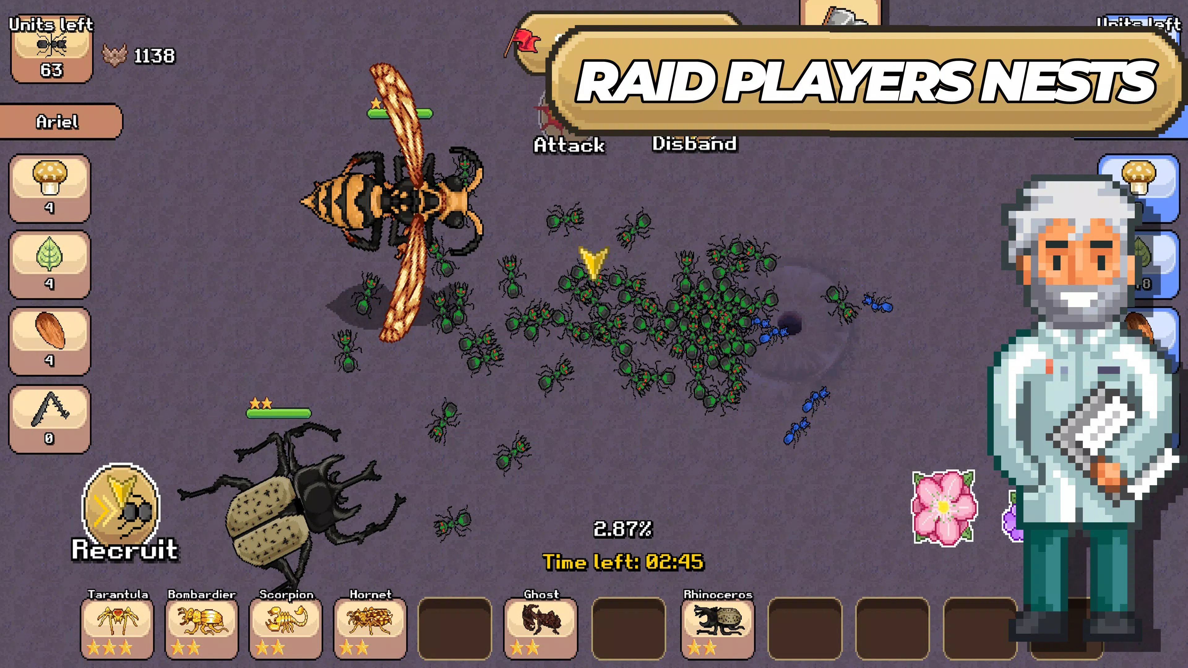 Pocket Ants Pocket Ants