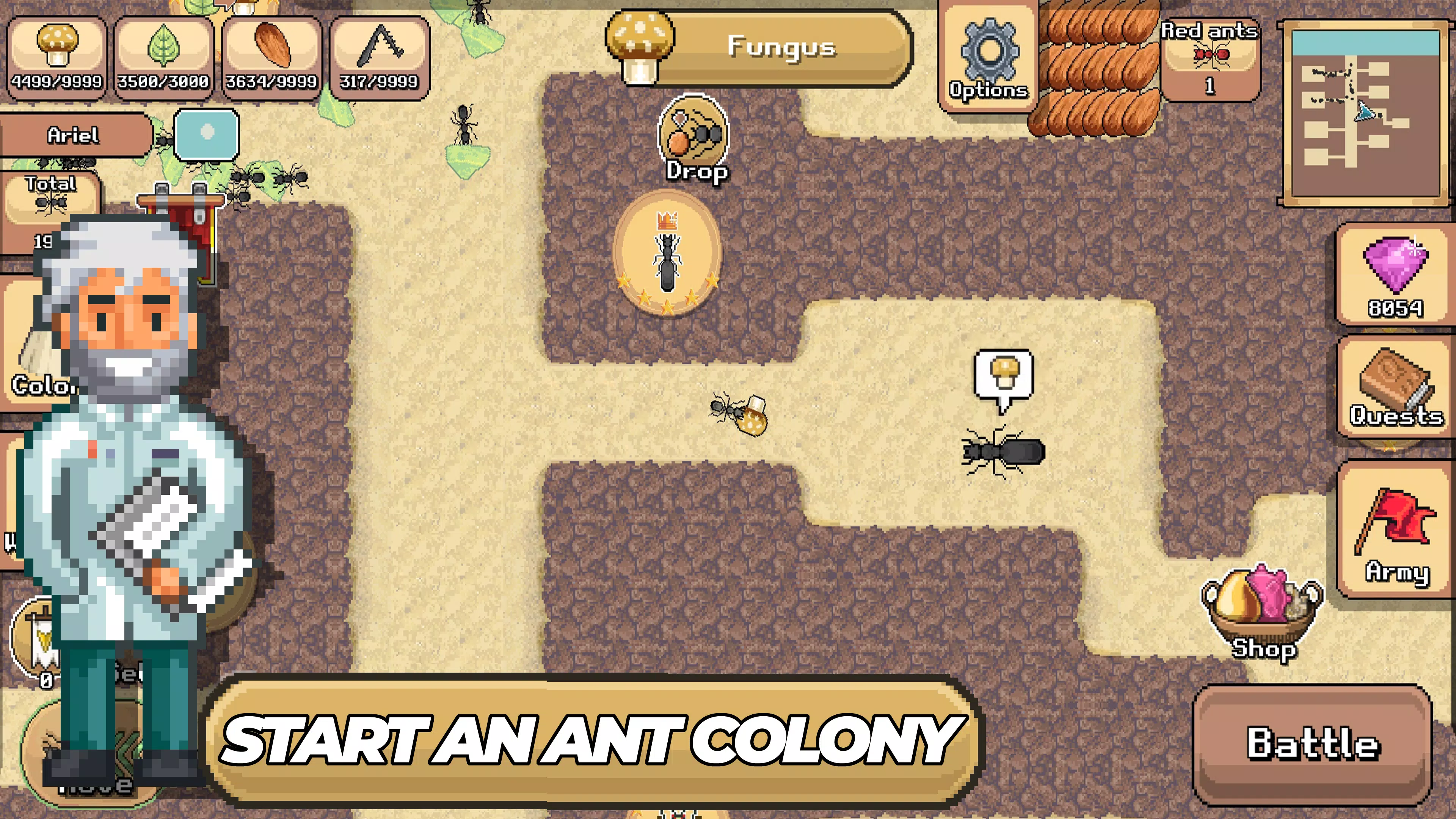 Pocket Ants Pocket Ants
